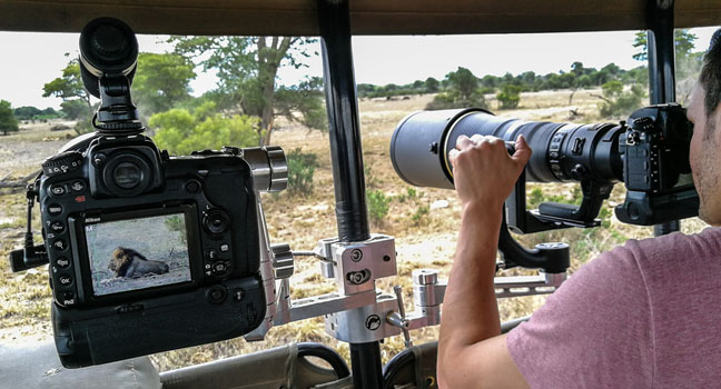Private Wildlife Photographic Safaris in Kruger National Park